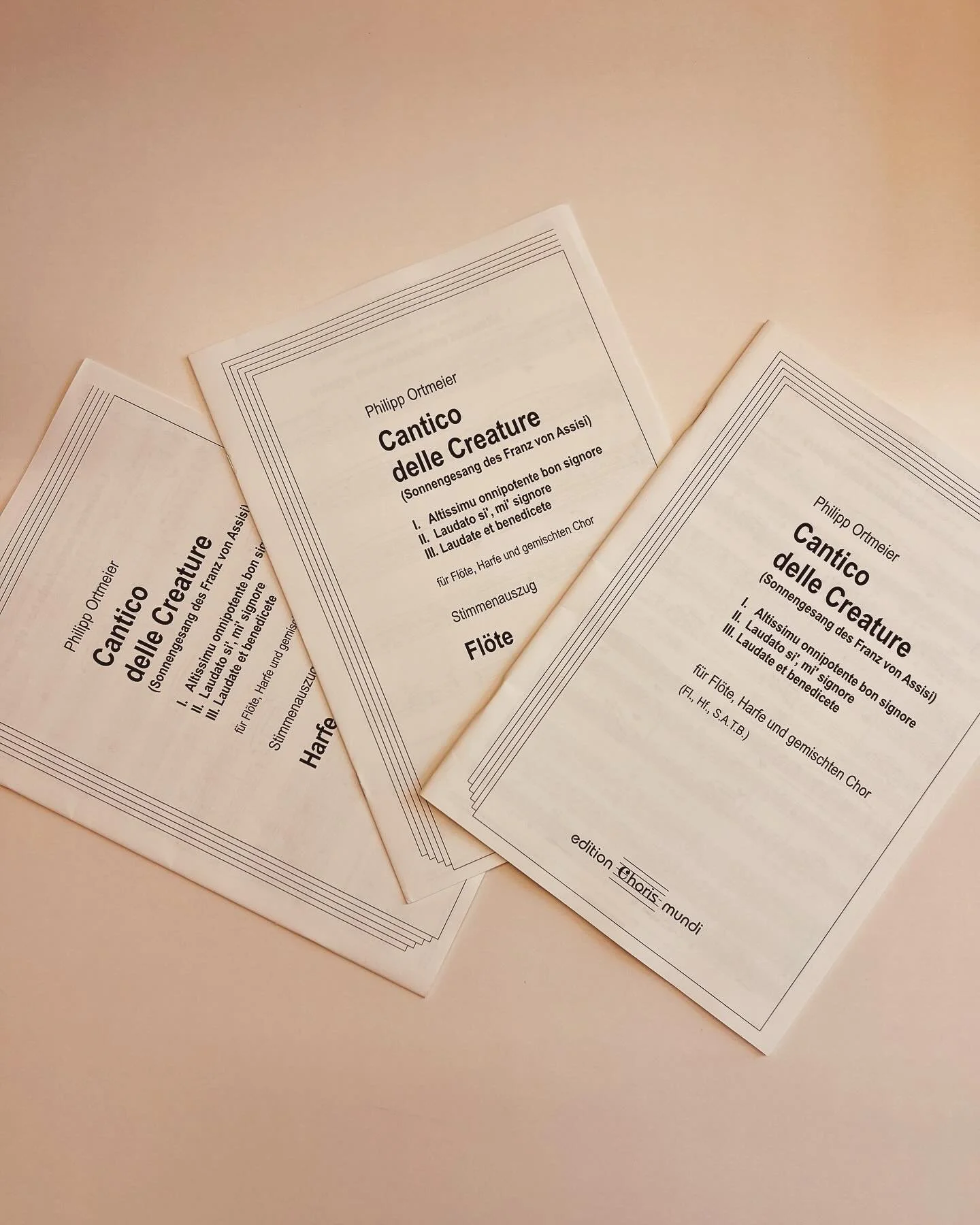 Aus der Berichterstattung &uuml;ber unser Konzert in Passau:

&bdquo;In Zusammenarbeit mit dem Vokalensemble der Universit&auml;t Passau unter der Leitung von Marius Schwemmer gelingt in der wunderbaren Akustik der Klosterkirche Niedernburg eine beme