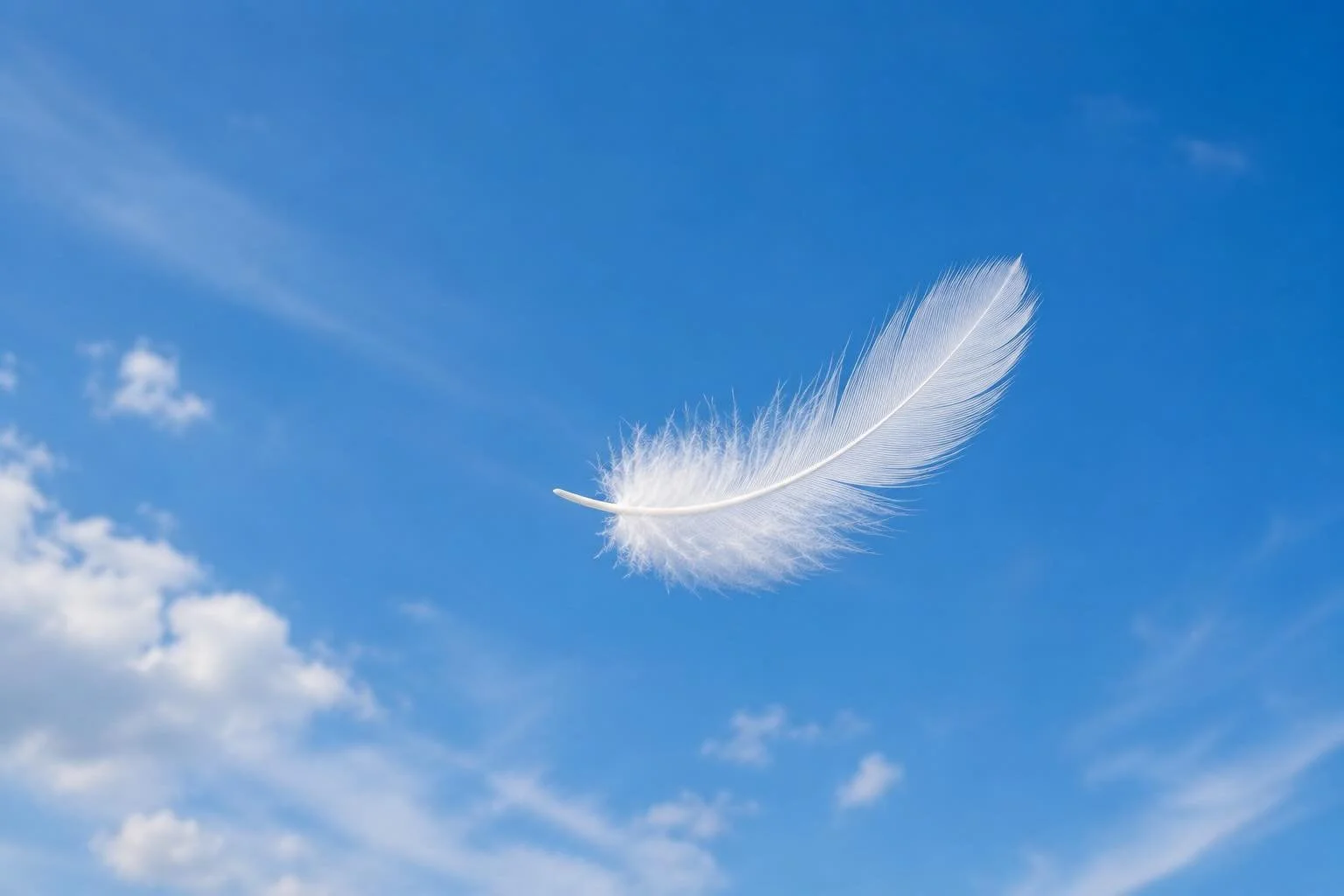 SAVE THE DATE: Unsere Sommersemesterkonzerte am 03. &amp; 04. JULI 2026

Mit &bdquo;Hoffnungen&ldquo; setzen wir unsere Reihe thematisch konzipierter Konzertprogramme fort und widmen uns mit Werken von Hildegard von Bingen, Johann Christoph Bach, Kim