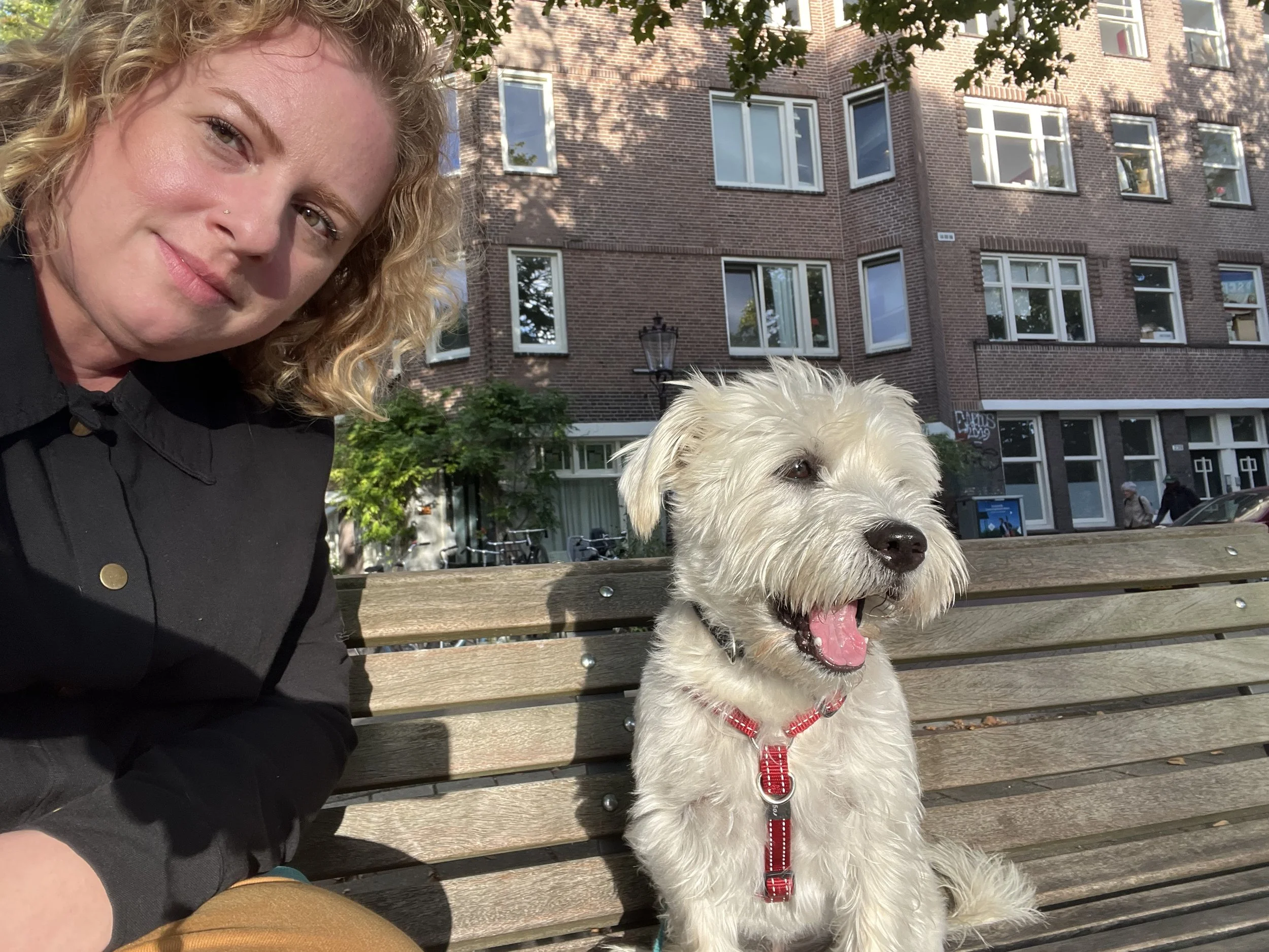 A woman with curly blonde hair and a piercing on her nose taking a selfie with her dog sitting on a park bench. The dog is a light-colored, fluffy breed with a red harness, yawning. In the background, there is a brick building with multiple windows and some people walking on the sidewalk.