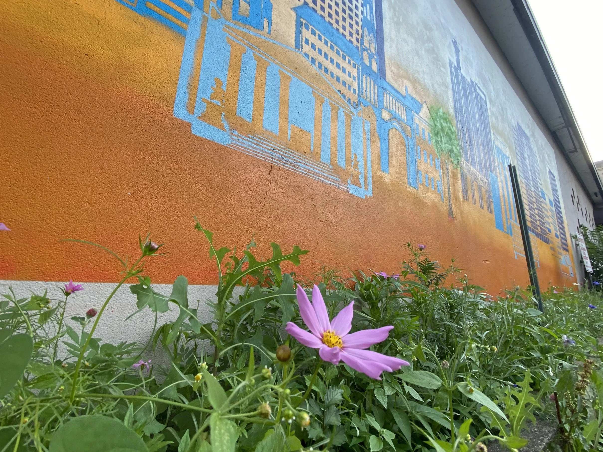 New Haven Skyline Mural, 2024