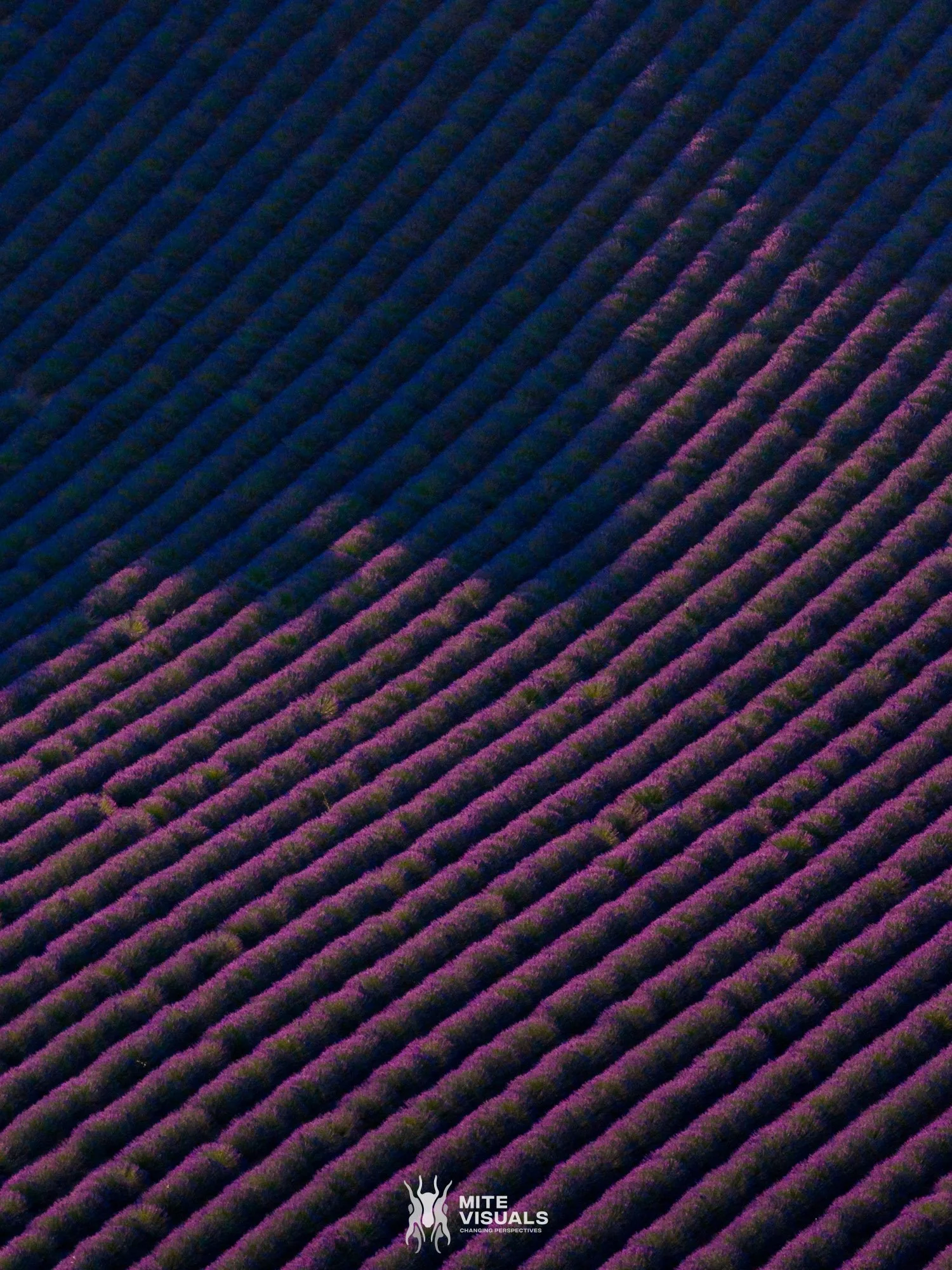 Zuid-Frankrijk Roadtrip - Mite Visuals - web-13.jpg