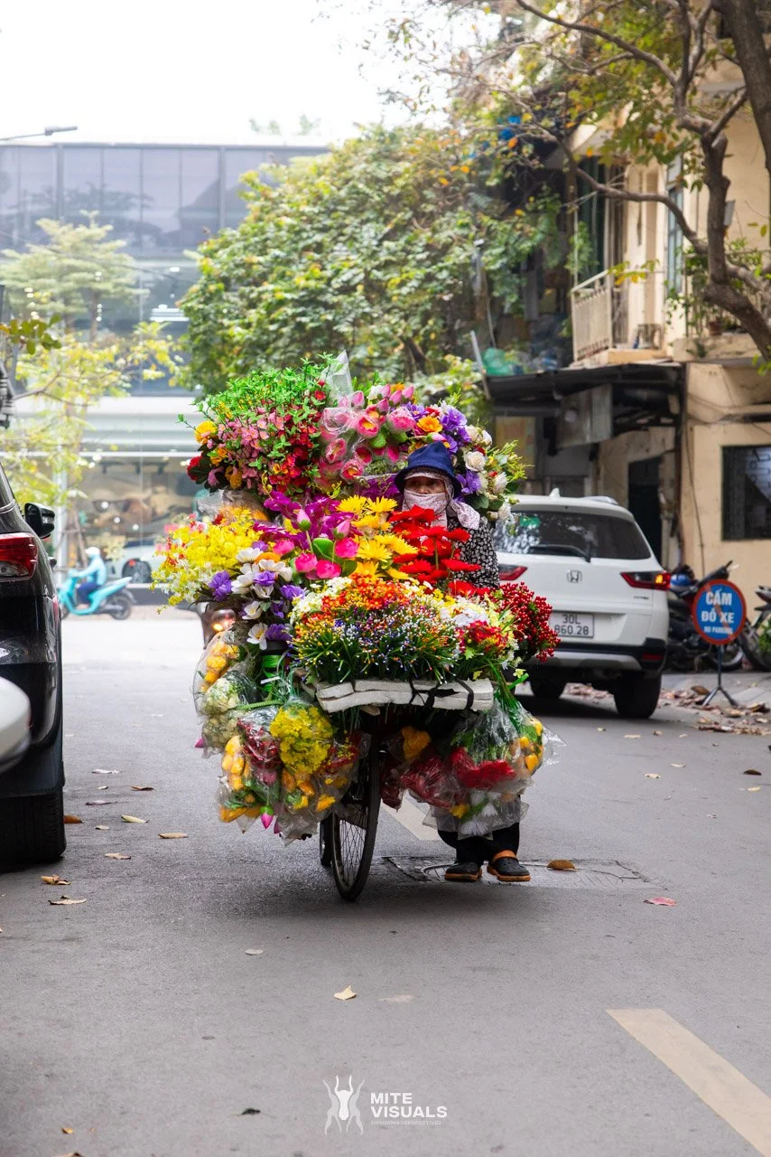 Stray Vietnam web @mitevisuals-6.jpg