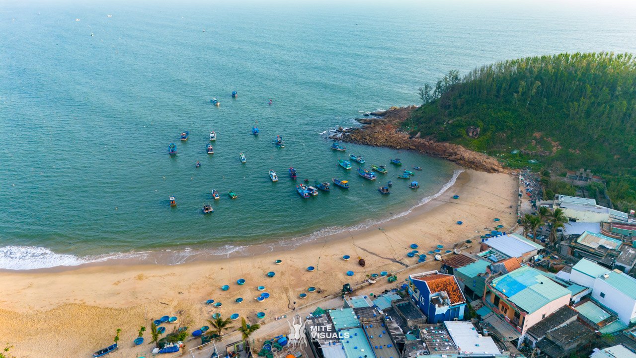 Stray Vietnam web @mitevisuals-617.jpg