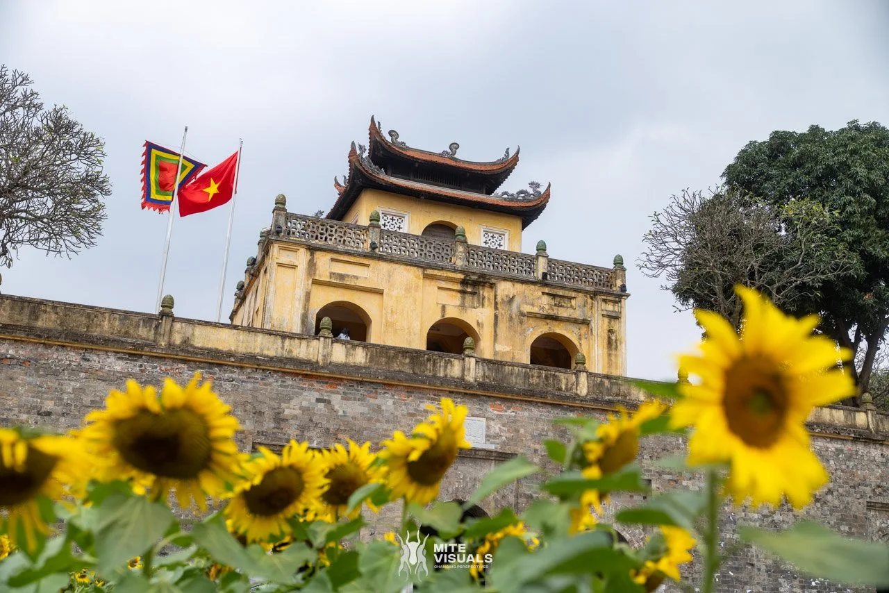 Stray Vietnam web @mitevisuals-68.jpg