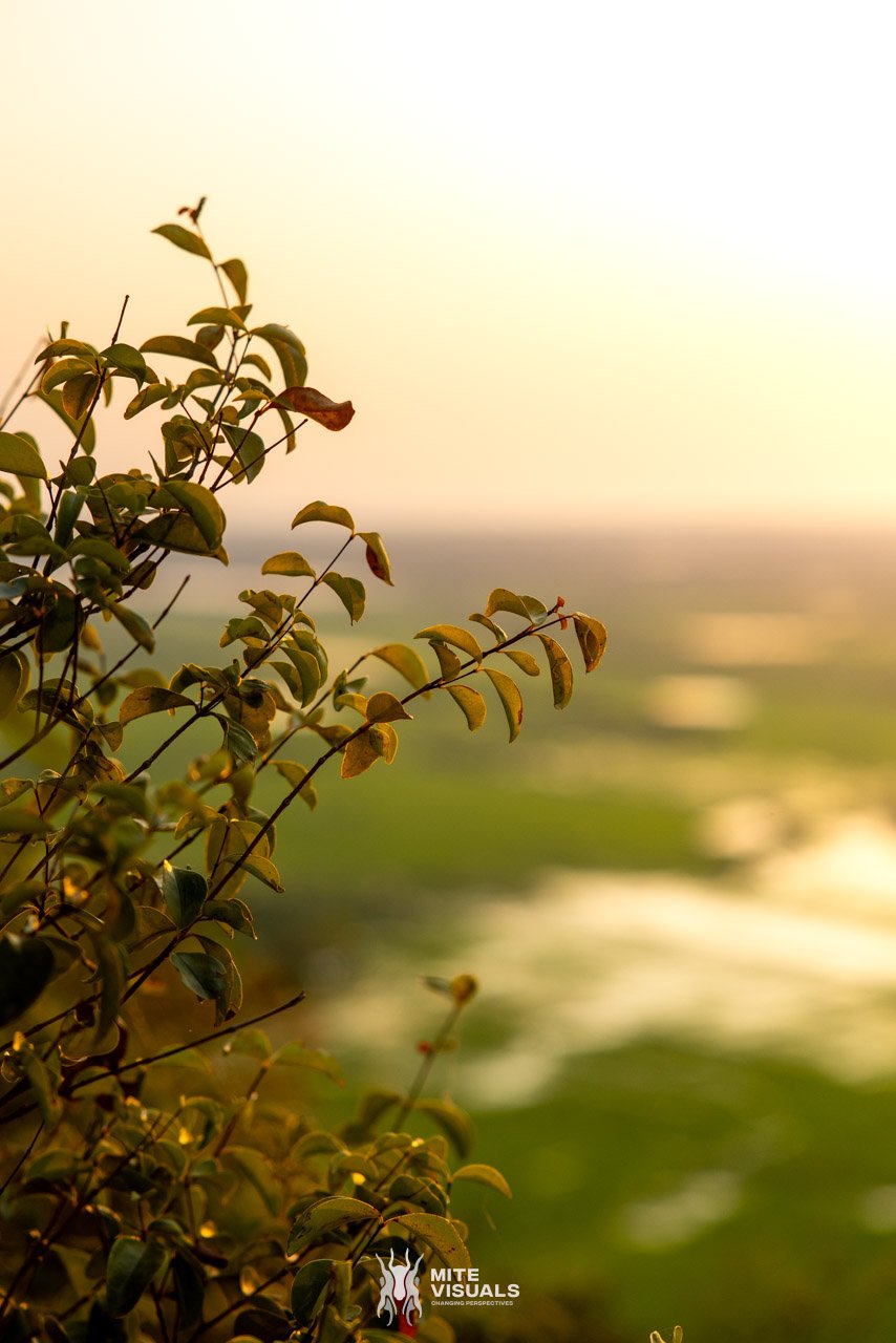 Cambodia 2026 web - Mite Visuals-12.jpg