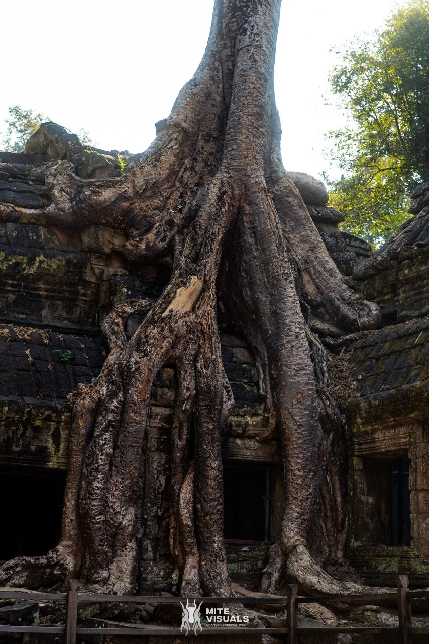 Cambodia 2026 web - Mite Visuals-70.jpg