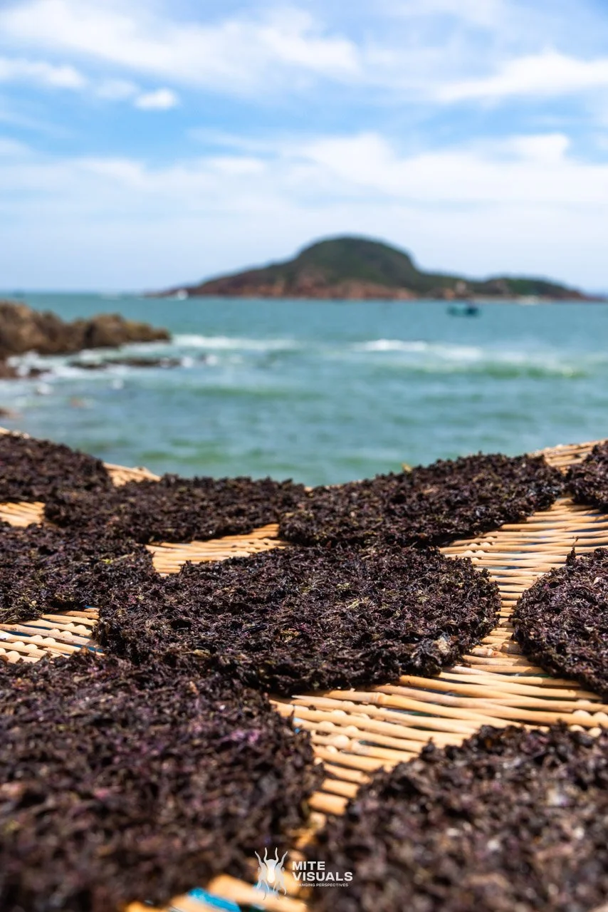 Stray Vietnam web @mitevisuals-639.jpg