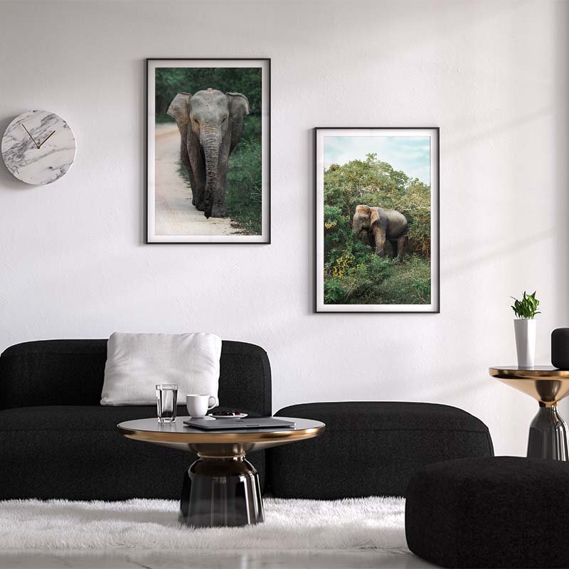 Elephant Yala 2.jpg