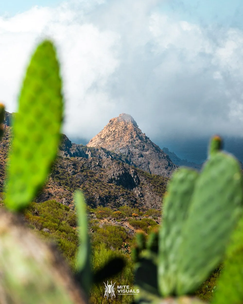 Tenerife web @mitevisuals-48.jpg