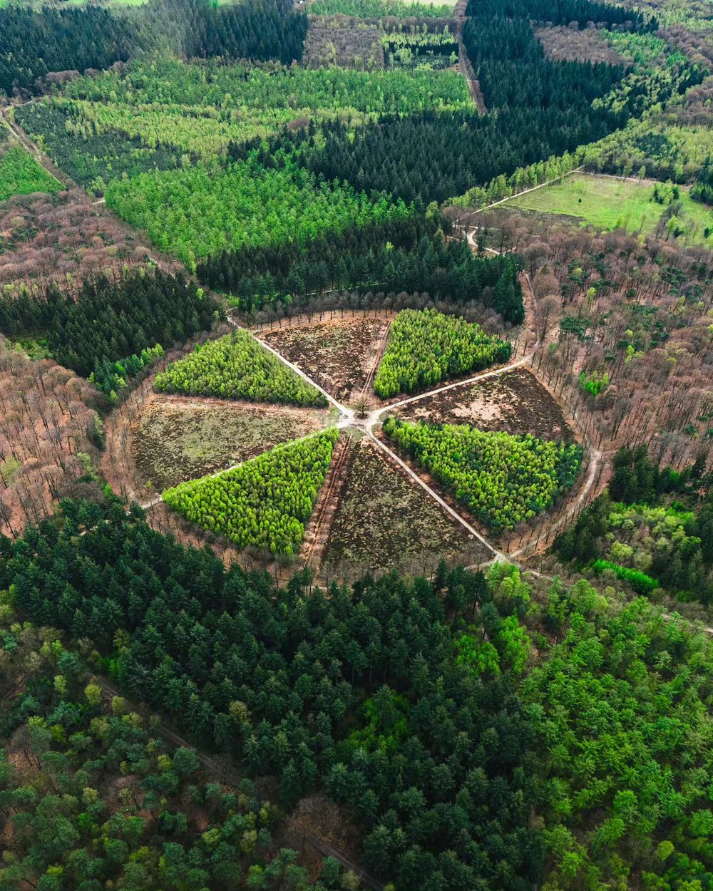 &bull; Green Radiation ☢️⁠
⁠
👉🏻 Everything about The Netherlands in one place #mitevisuals_netherlands 🇳🇱⁠
⁠
🙋🏼&zwj;♂️ Follow @mitevisuals for more⁠
⁠
&bull;⁠
&bull;⁠
&bull;⁠
#forest #trees #circle #amerongen #veenendaal #utrechtseheuvelrug #de