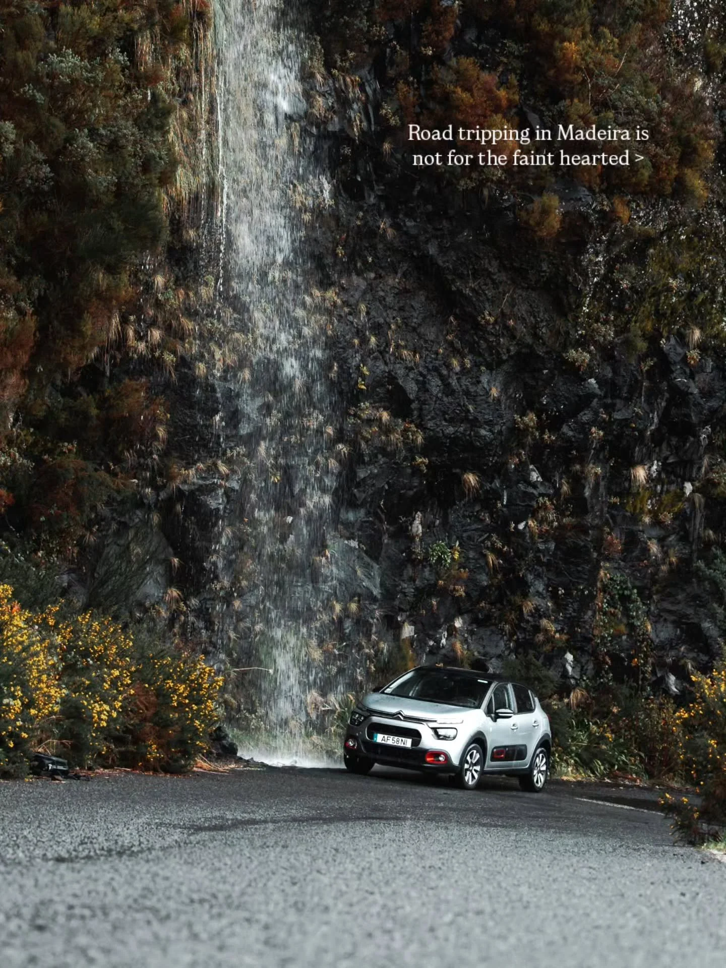 Hitting the road in Madeira is a great adventure! From steeps cliffs and road-blocking waterfalls to the best scenic drives you can imagine 😍⁠ w/ @isakstockas⁠
⁠
🙋🏼&zwj;♂️ Follow @mitevisuals for more⁠ ⁠
⁠
#madeira #funchal #roadtrip #island #trav