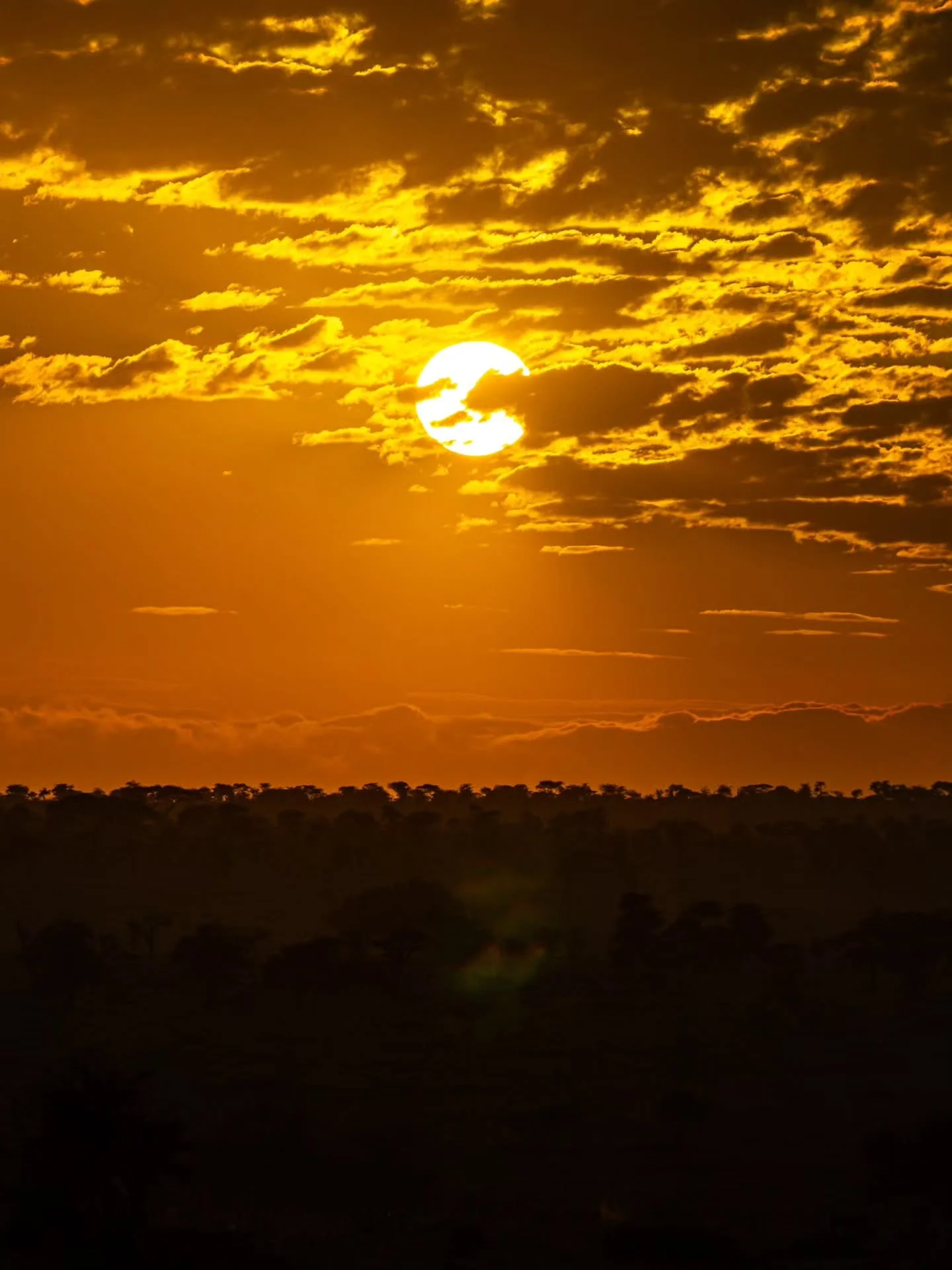 Fiery sunrise in Serengeti National Park 🔥🇹🇿⁠
⁠
🙋🏼&zwj;♂️ Follow @mitevisuals for more⁠ ⁠
⁠
#tanzania #sunrise #serengeti #savanna #africa