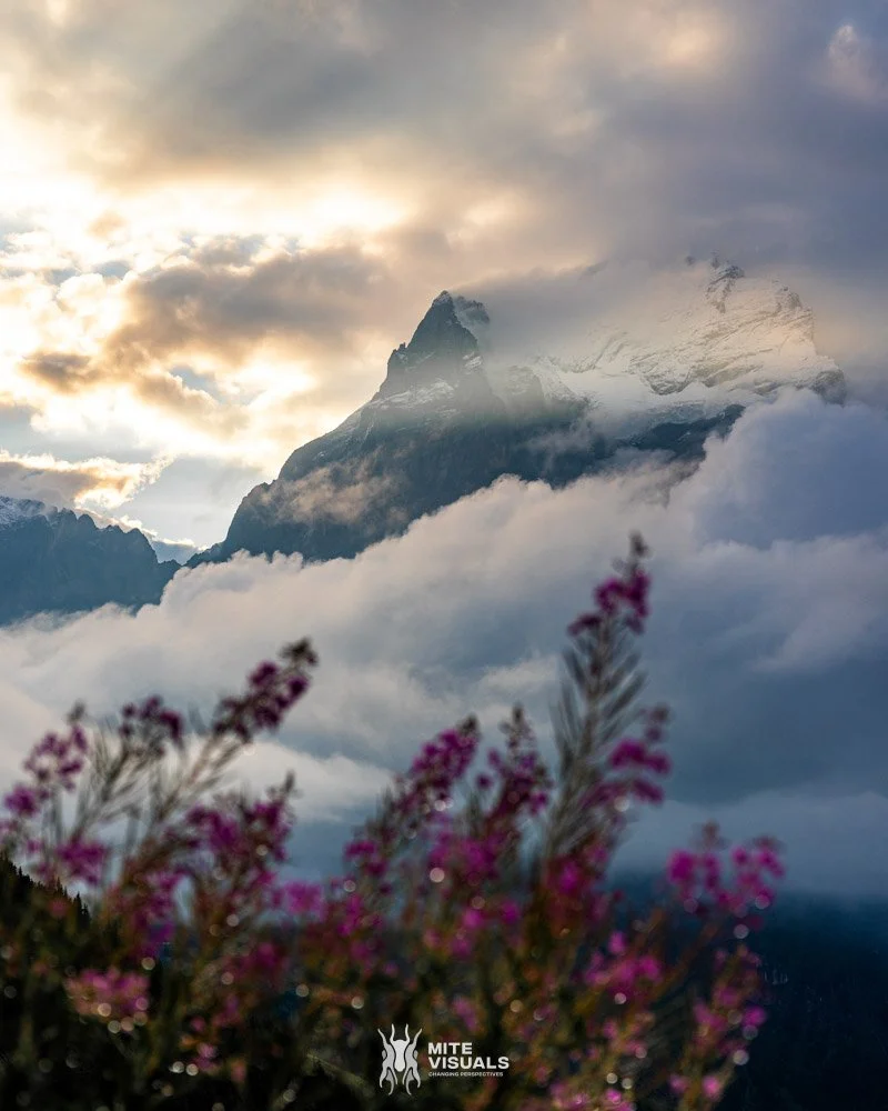 Switzerland daktent.nl fotografie web - Mite Visuals-4.jpg