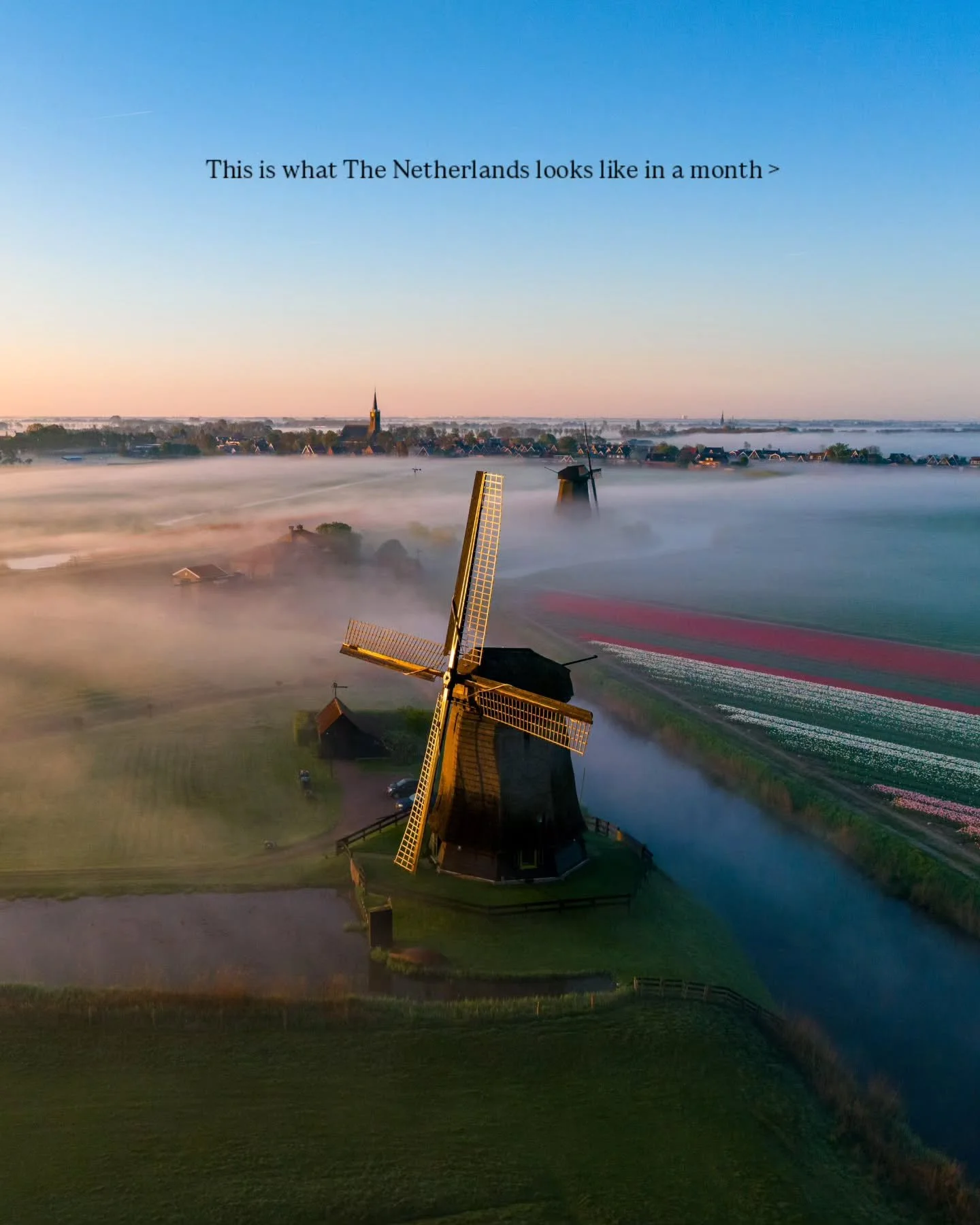 Spring is almost here! Can't wait to see the blooming fields again in The Netherlands 🌷⁠
⁠
🙋🏼&zwj;♂️ Follow @mitevisuals for more⁠ ⁠
⁠
#tulips #spring #windmill #thenetherlands #holland