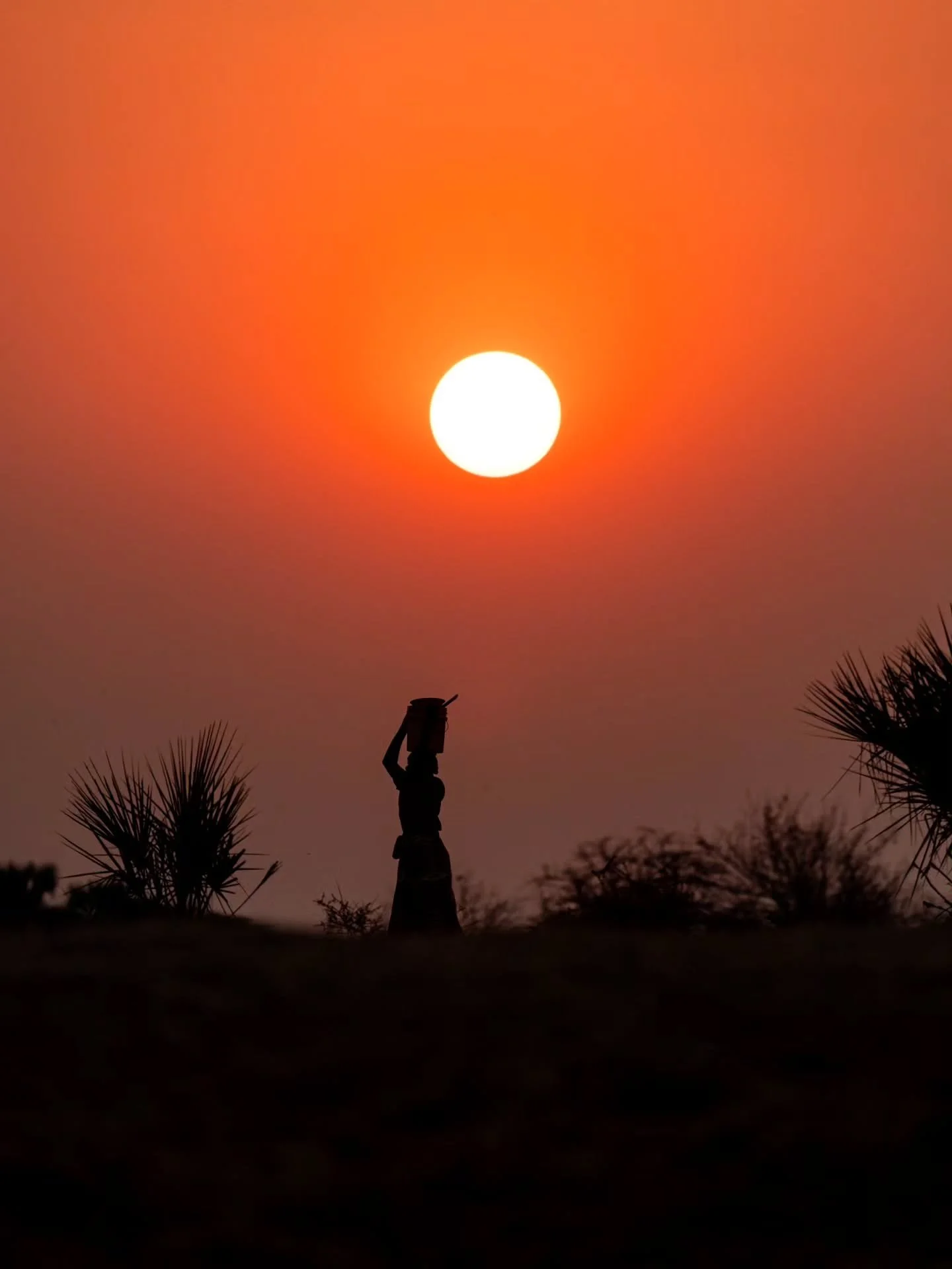 Water at dawn 🇿🇼 In rural Africa, the villages gets their water from nearby wells. Around sunrise and sunset, you'll see locals (mostly woman) carrying water buckets back to their home to use for drinking and cooking 💧⁠
⁠
🙋🏼&zwj;♂️ Follow @mitev