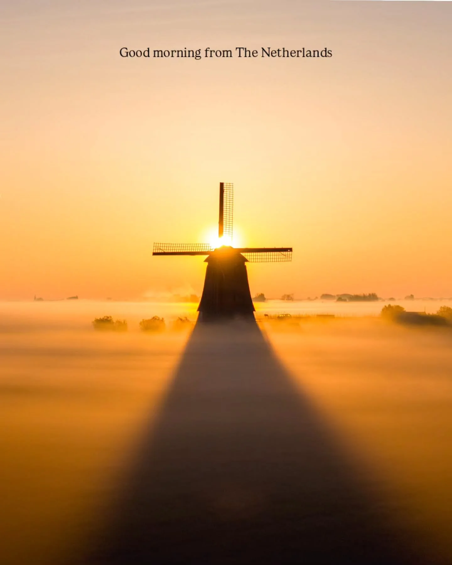 Standing tall in the morning light 🌞🇳🇱 Are you visiting a windmill or tulip field this weekend?⁠
⁠
#tulips #spring #windmill #thenetherlands #holland