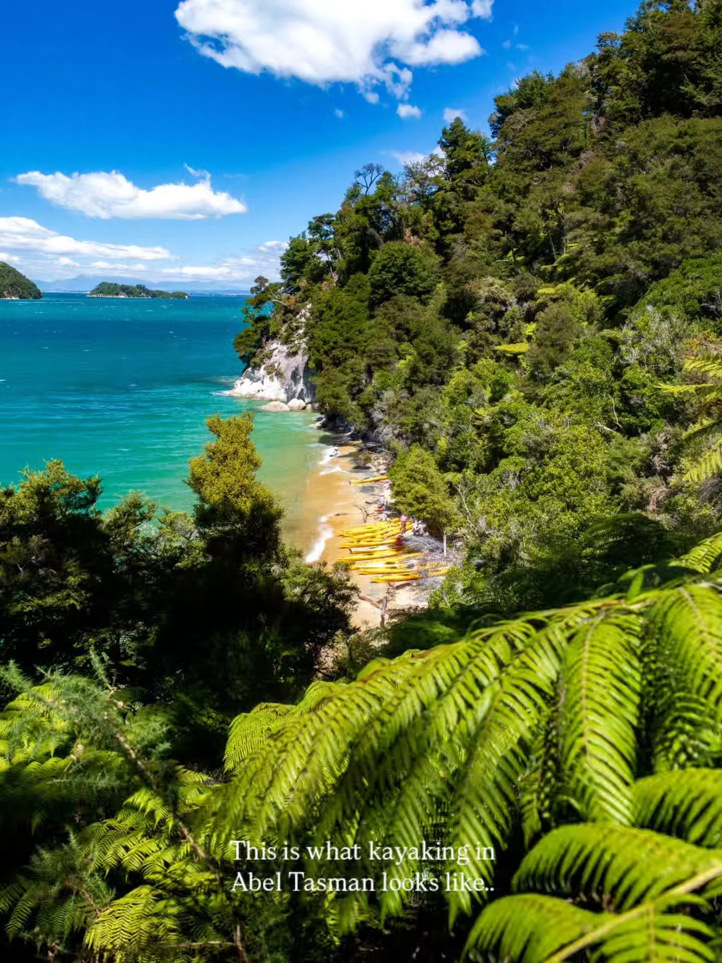 Lets go kayaking in Abel Tasman National Park 🇳🇿⁠
⁠
⁠#newzealand #abeltasman #kayak #nature #nationalpark