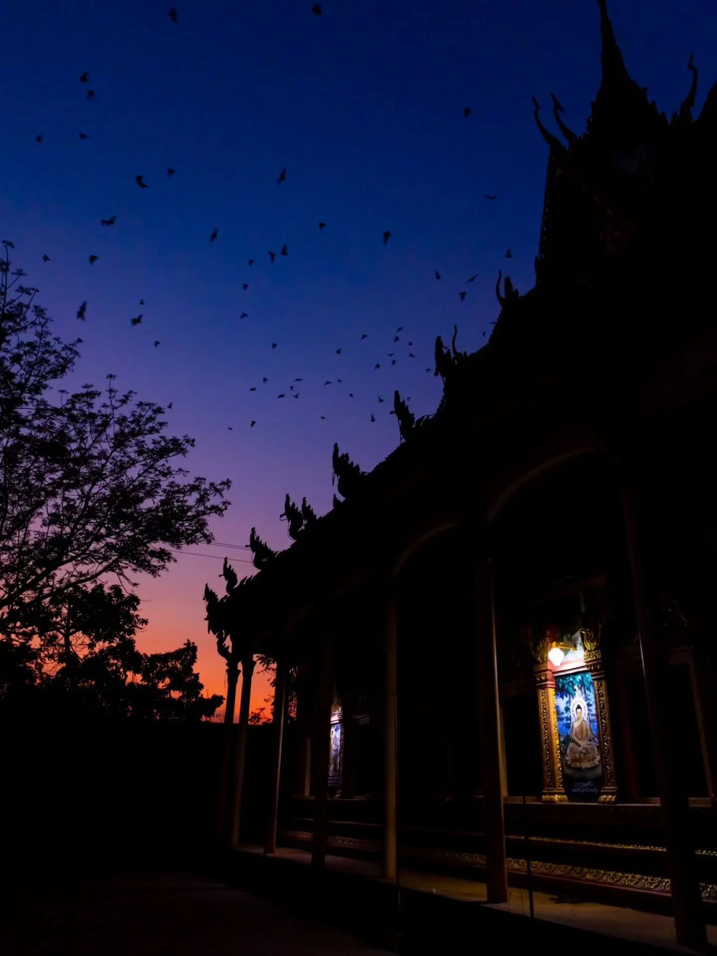 "And if you look to your left, you'll see the bats fly out" is what our captain told us while I was looking at the temple in awe. A large group of bats occupies this Buddhist temple and flies out after sunset to hunt for food. For almost 10