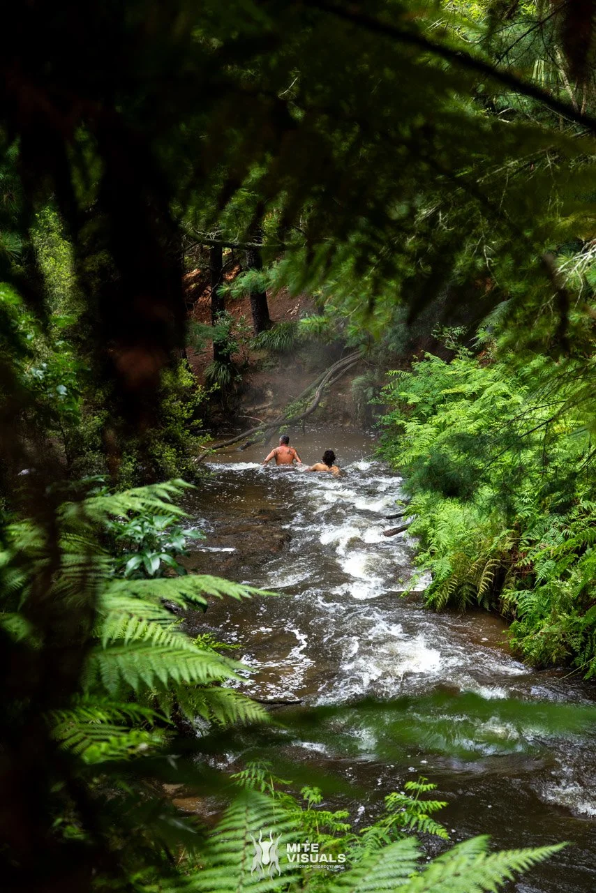 New Zealand 2026 web - Mite Visuals-160.jpg