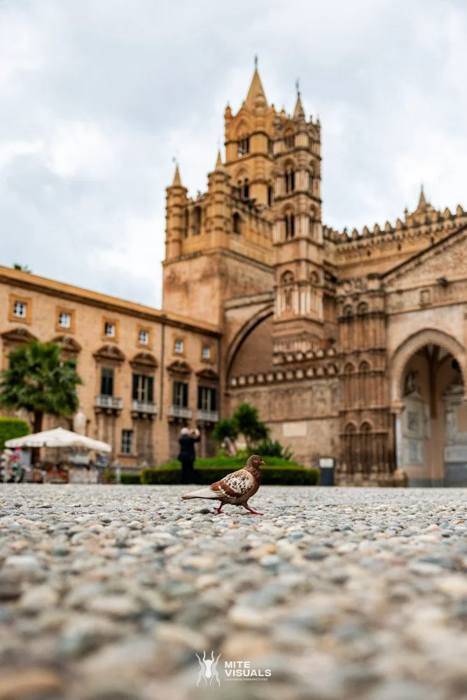 Sicily 2025 @mitevisuals web-87.jpg