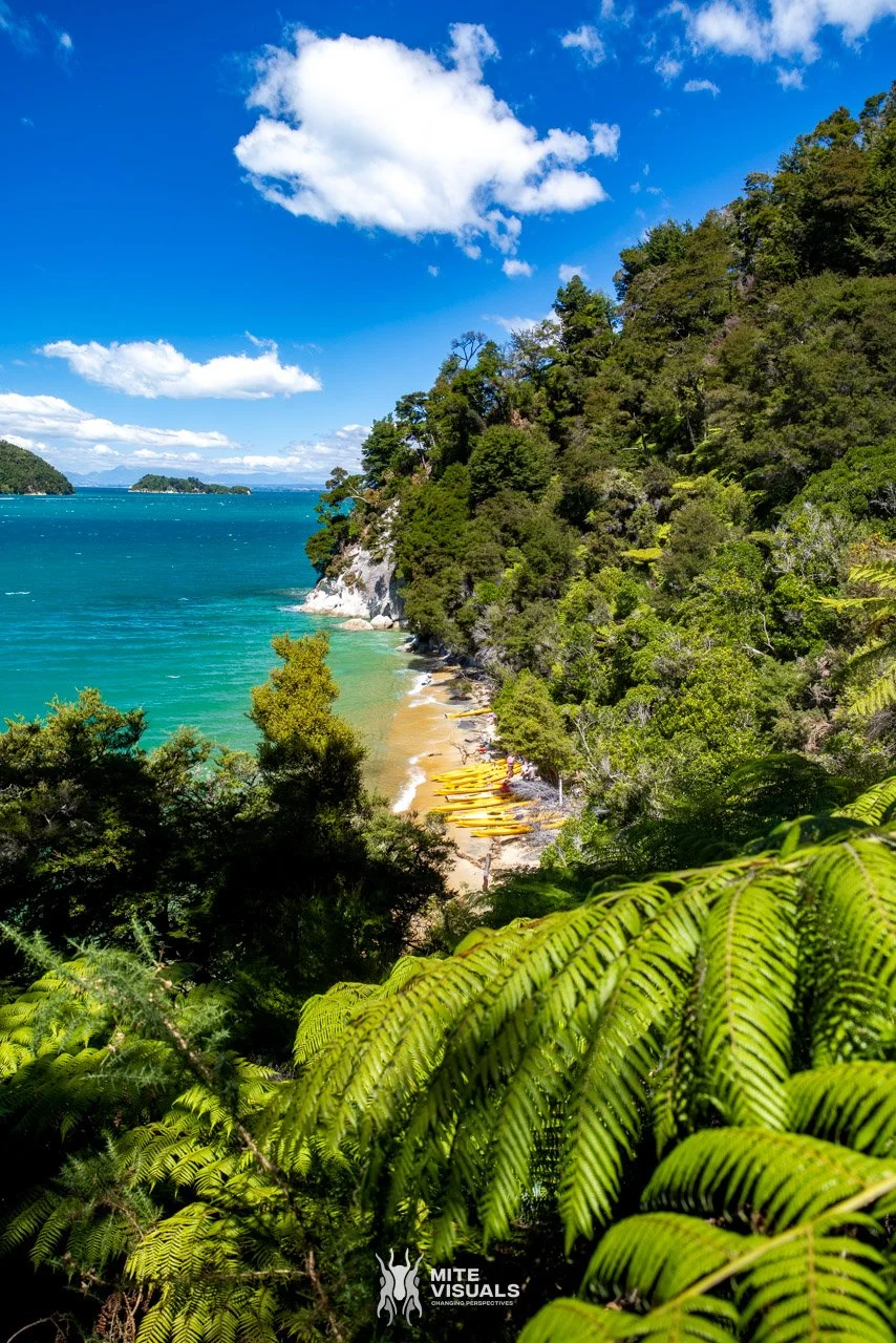 New Zealand 2026 web - Mite Visuals-452.jpg