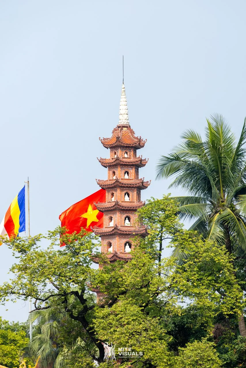 Stray Vietnam web @mitevisuals-23.jpg