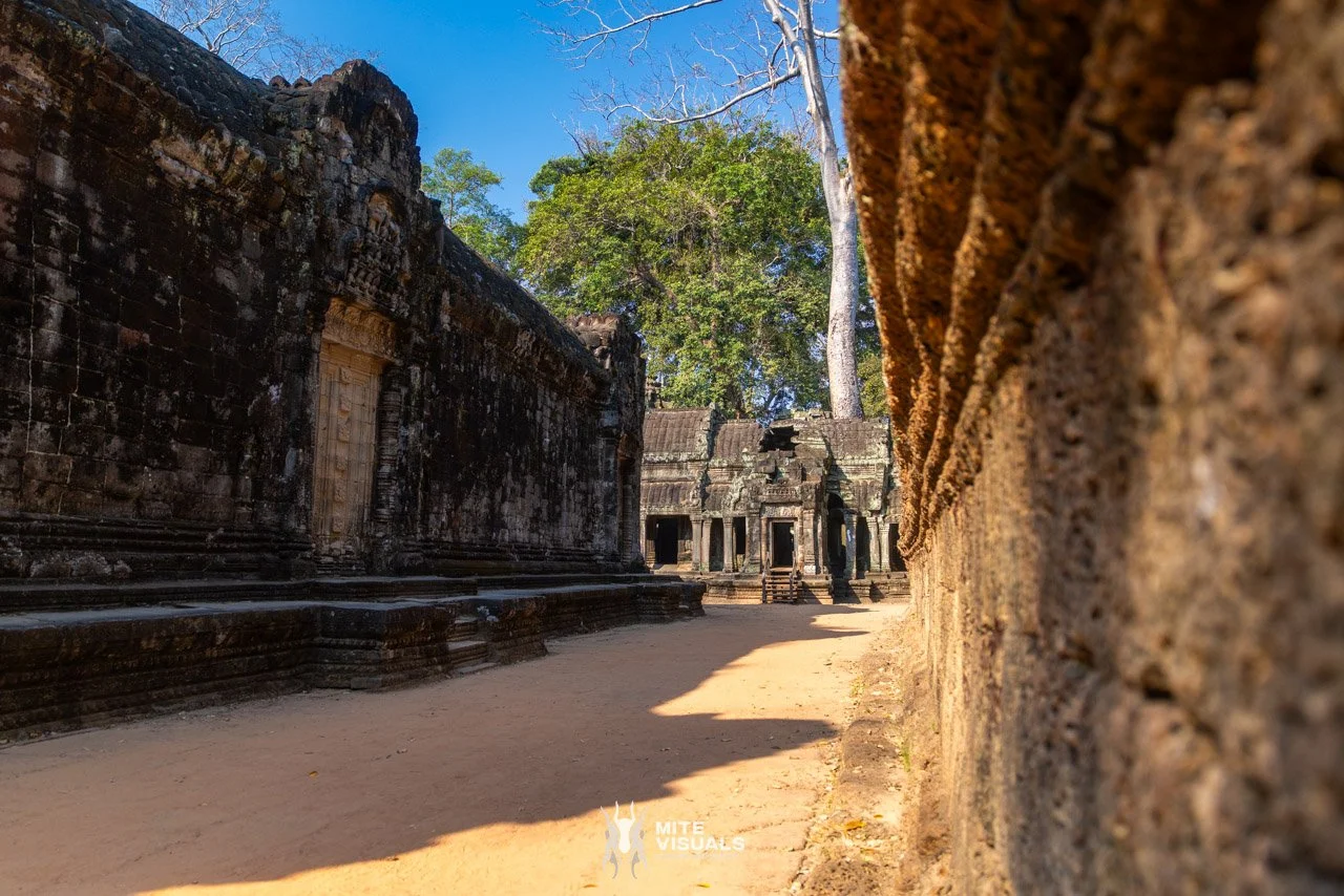 Cambodia 2026 web - Mite Visuals-71.jpg