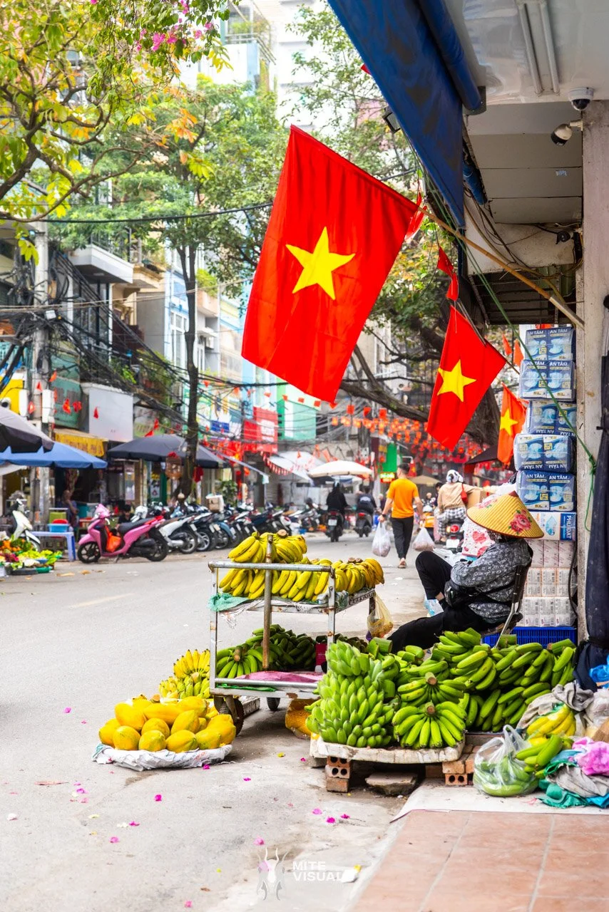 Stray Vietnam web @mitevisuals-19.jpg