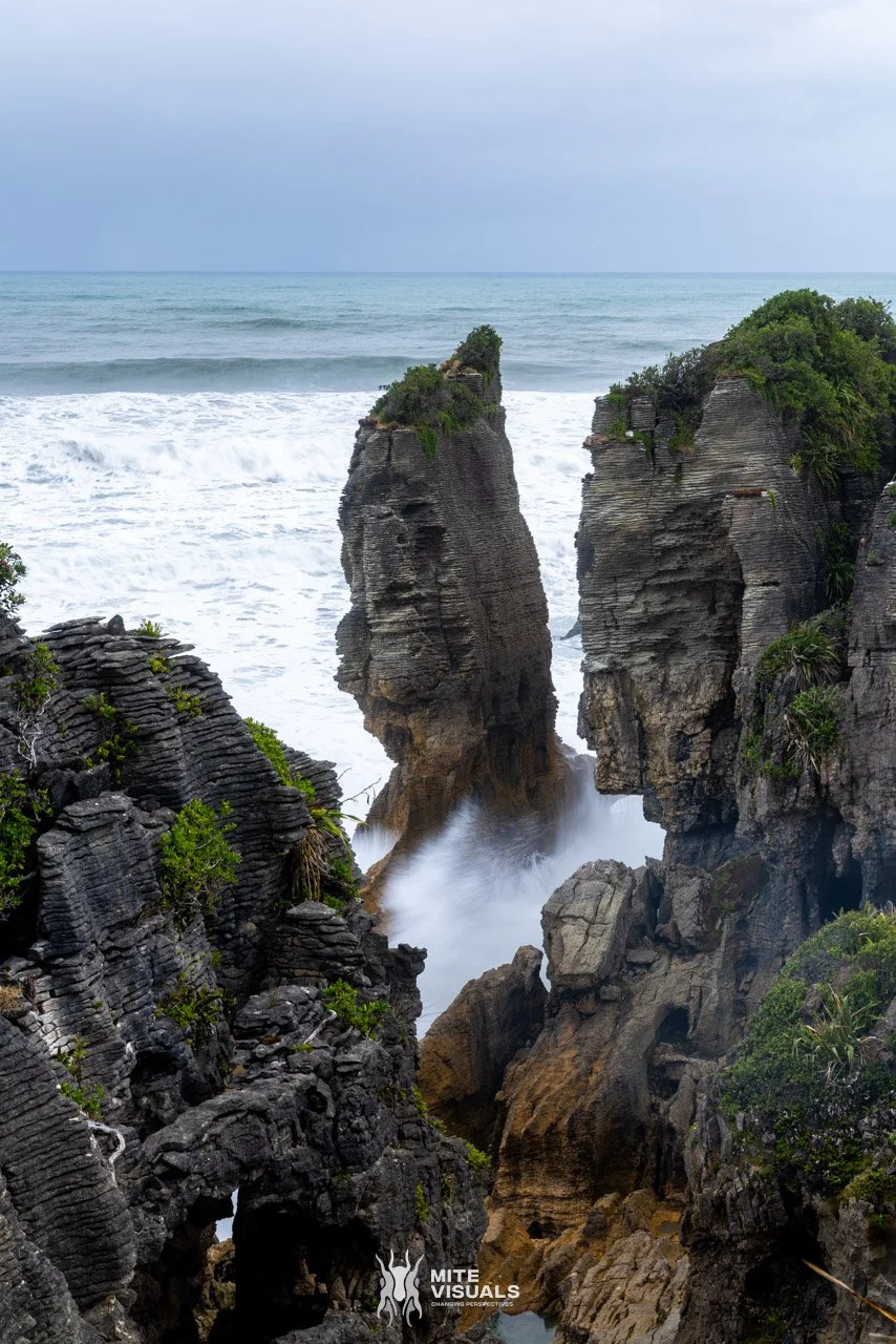 New Zealand 2026 web - Mite Visuals-474.jpg