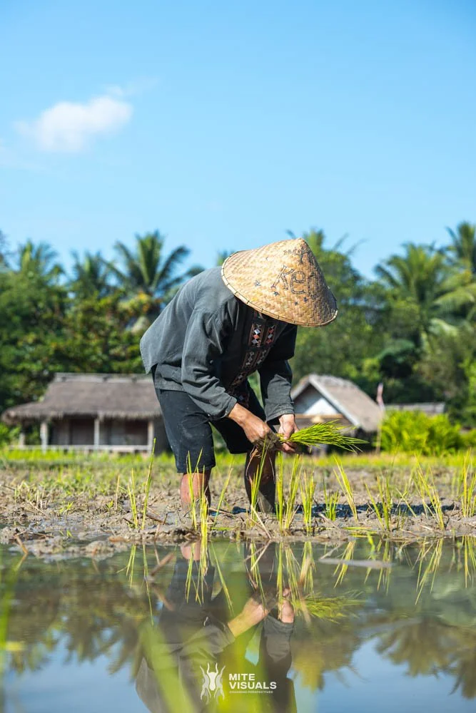 Stray Laos @mitevisuals web-142.jpg