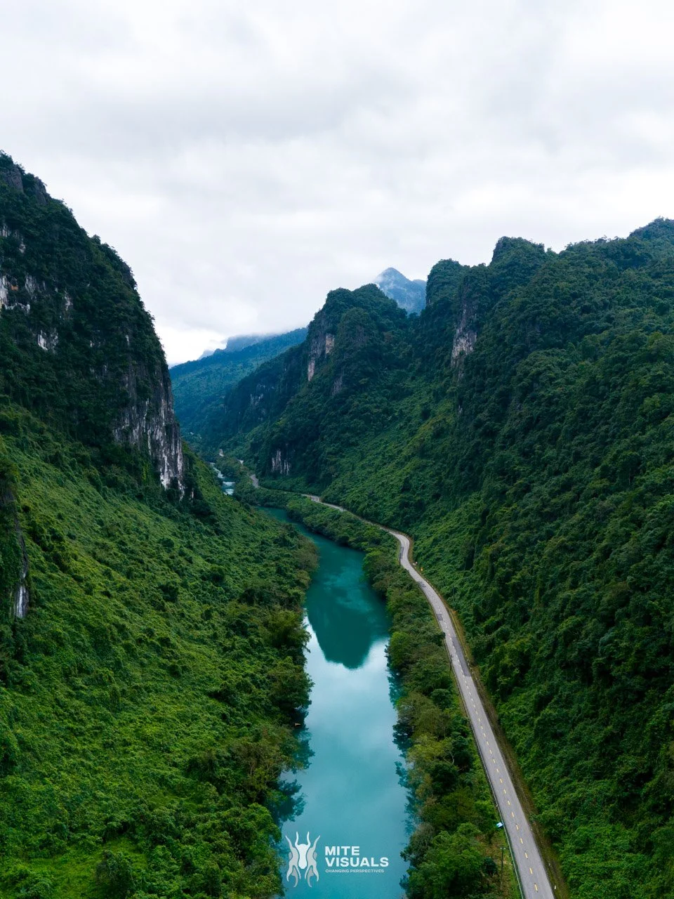 Stray Vietnam web @mitevisuals-250.jpg