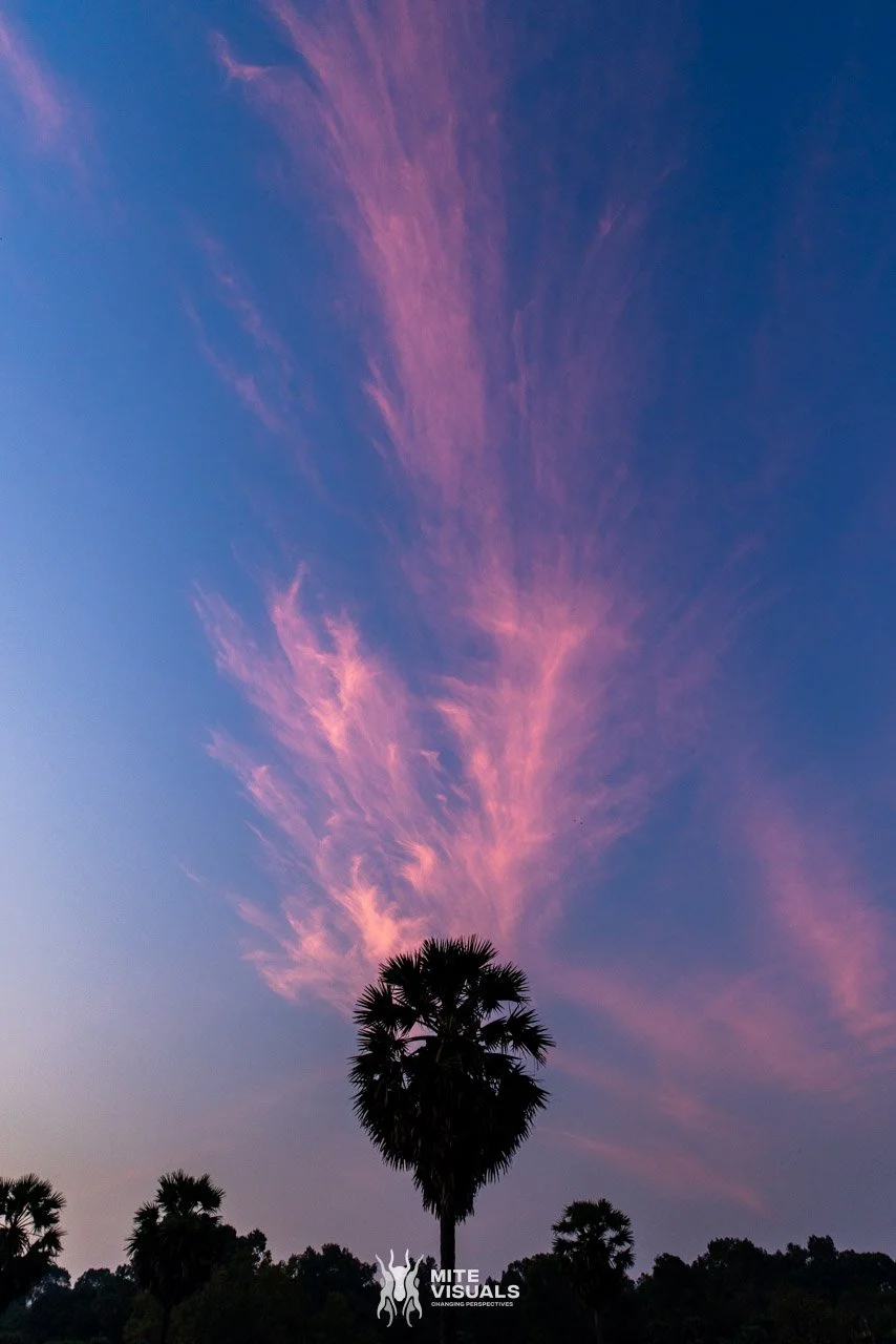 Cambodia 2026 web - Mite Visuals-25.jpg