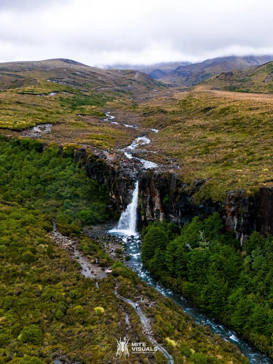 New Zealand 2026 web - Mite Visuals-290.jpg