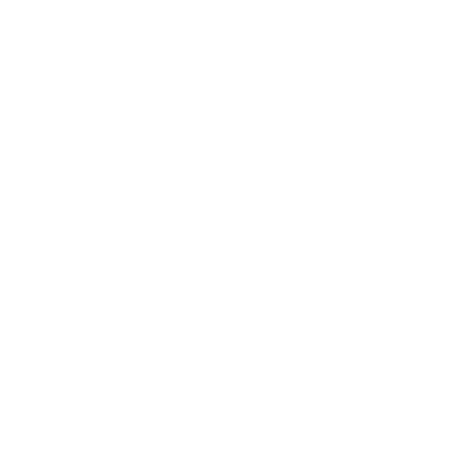 DJI logo - - white png.png