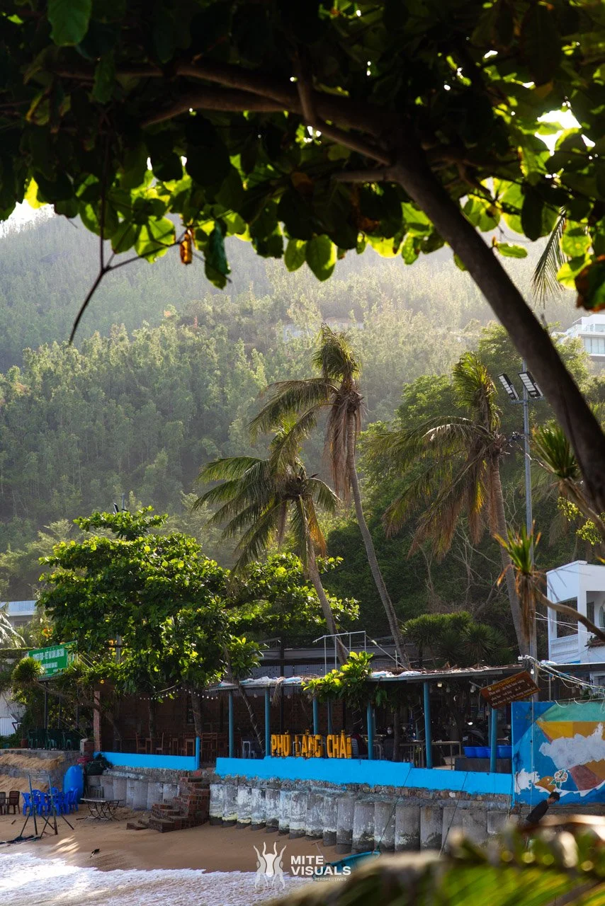 Stray Vietnam web @mitevisuals-652.jpg