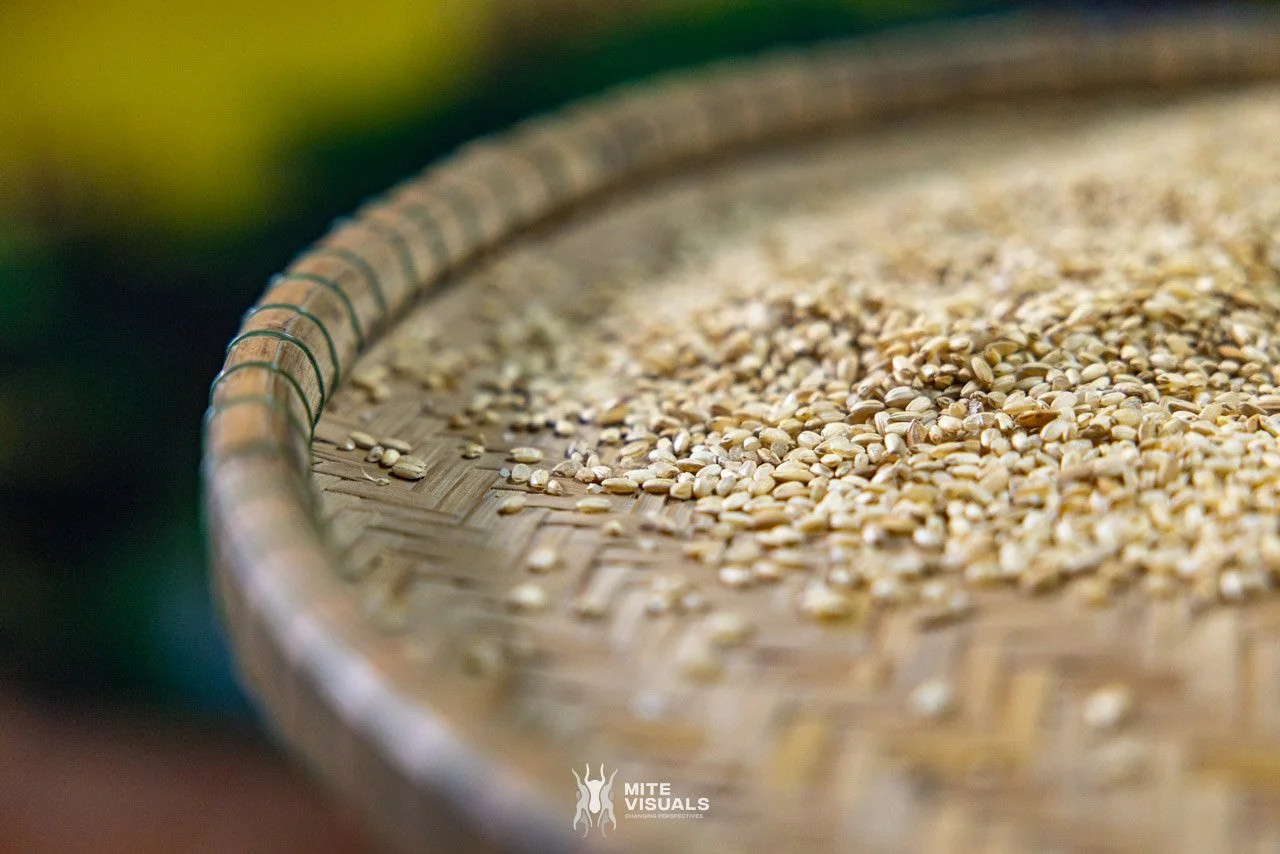 Stray Vietnam web @mitevisuals-313.jpg