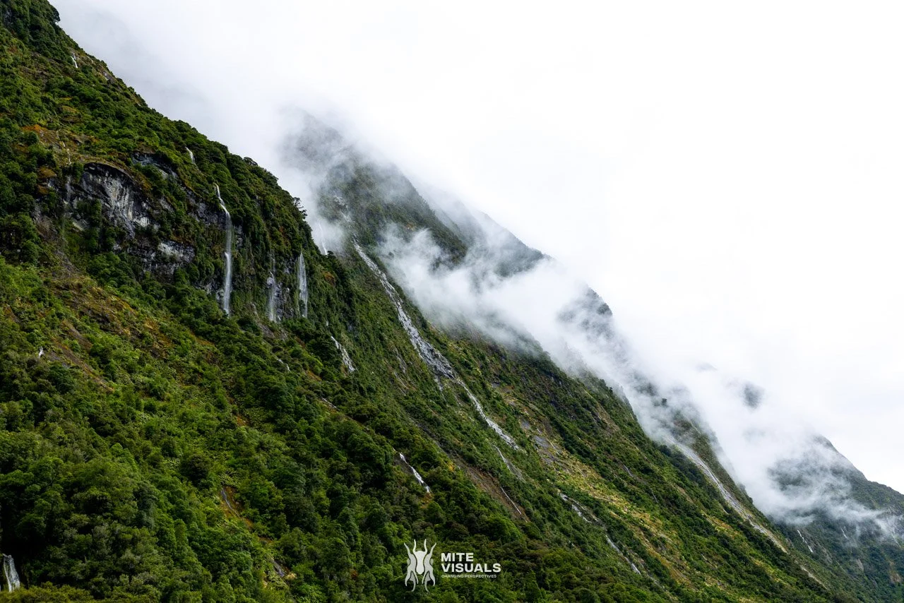 New Zealand 2026 web - Mite Visuals-796.jpg