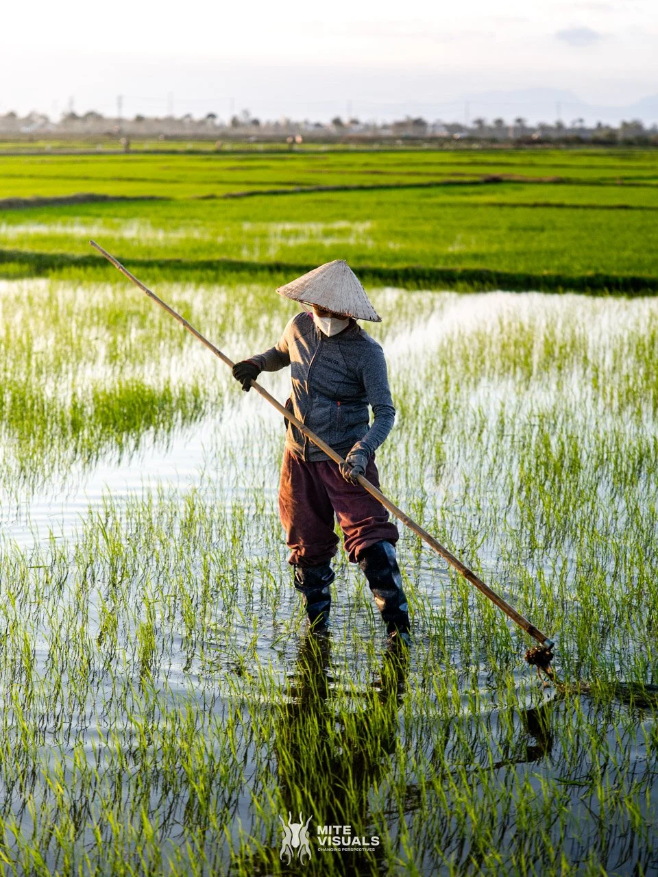 Stray Vietnam web @mitevisuals-485.jpg