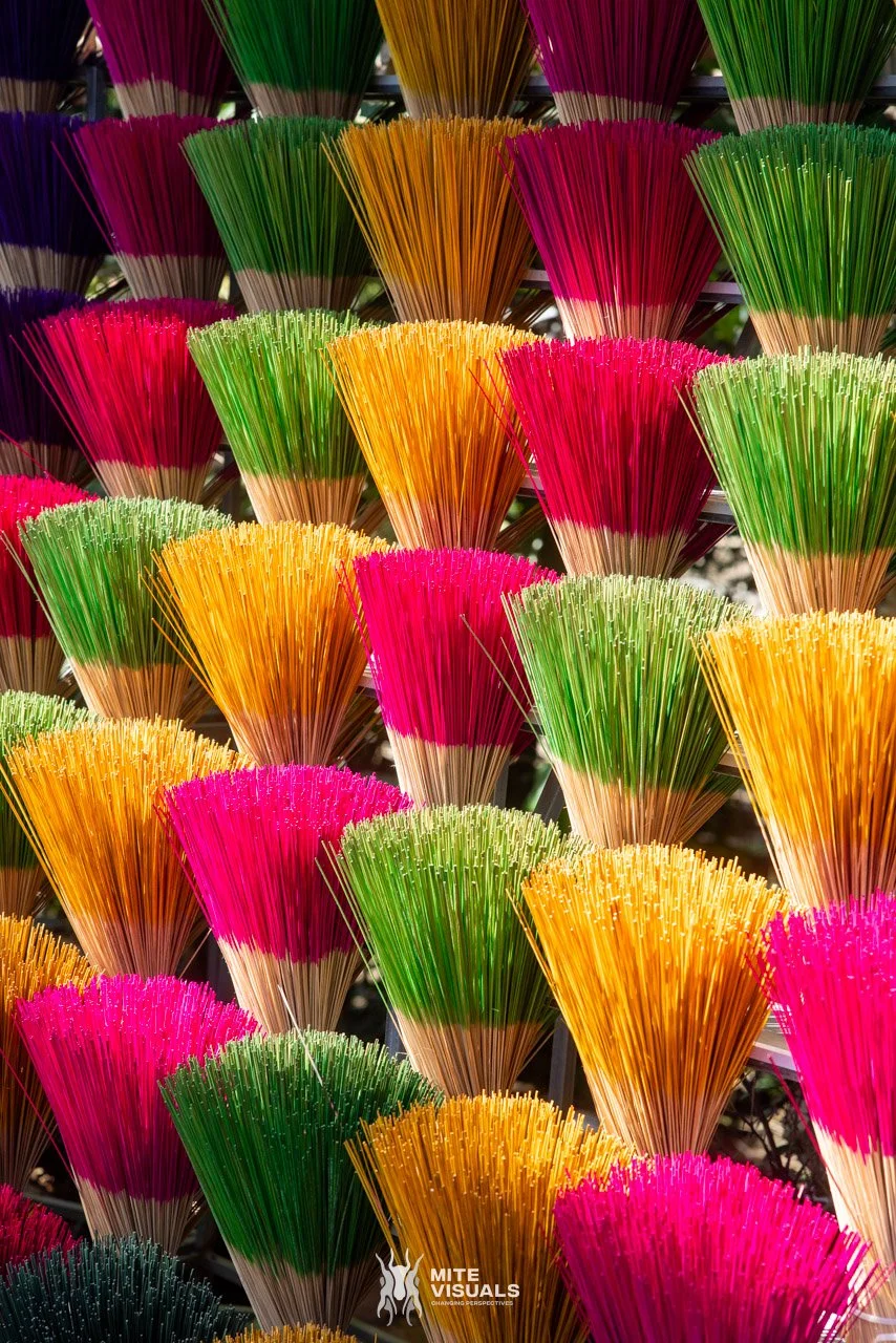 Stray Vietnam web @mitevisuals-362.jpg