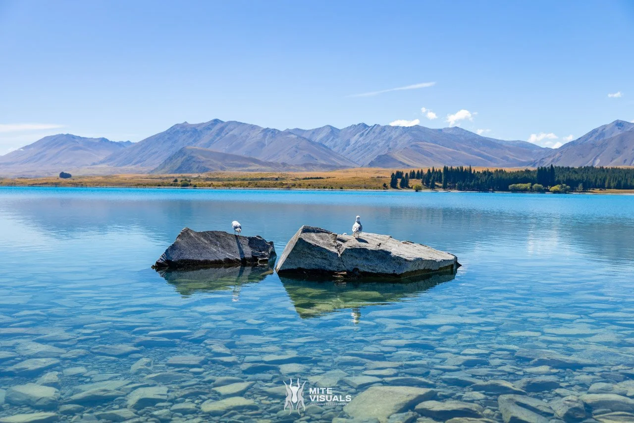 New Zealand 2026 web - Mite Visuals-913.jpg