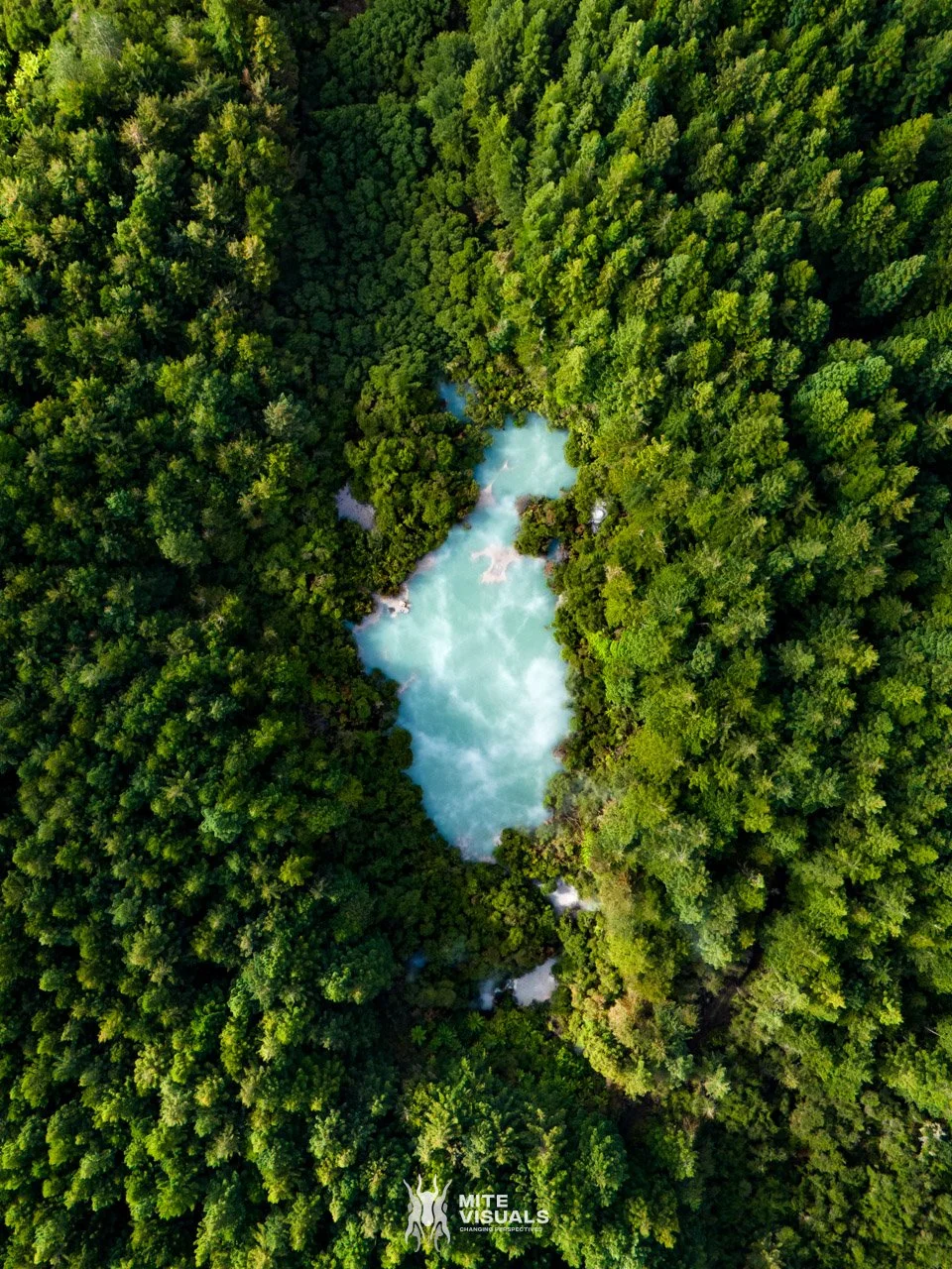 New Zealand 2026 web - Mite Visuals-177.jpg