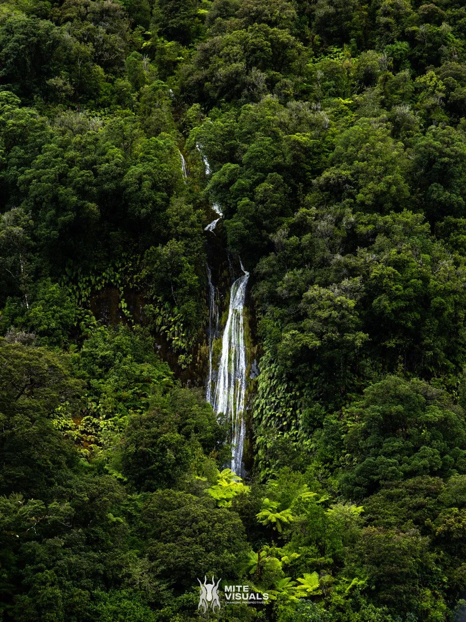 New Zealand 2026 web - Mite Visuals-794.jpg