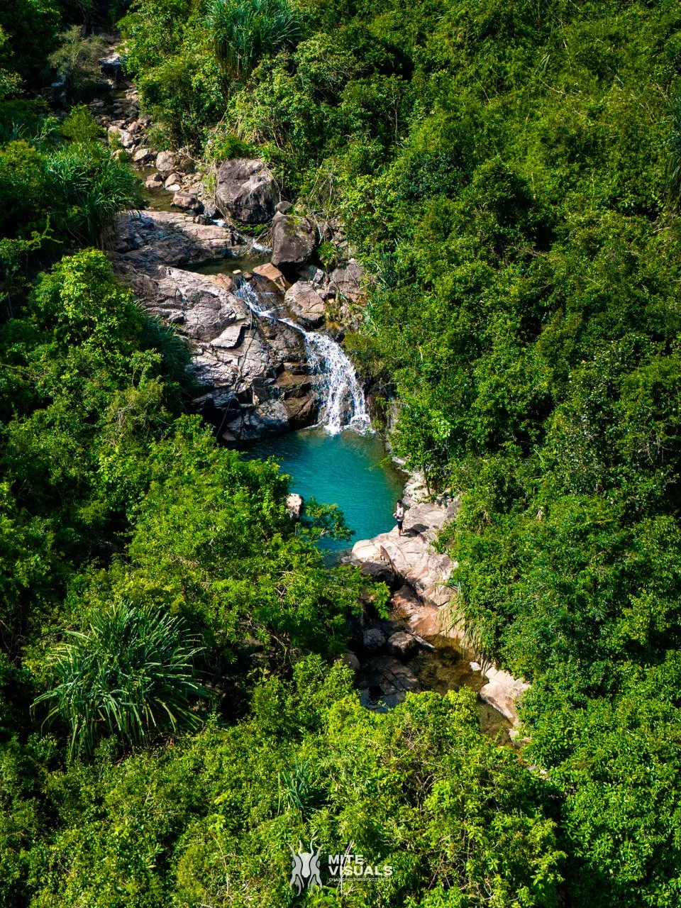 Stray Vietnam web @mitevisuals-670.jpg