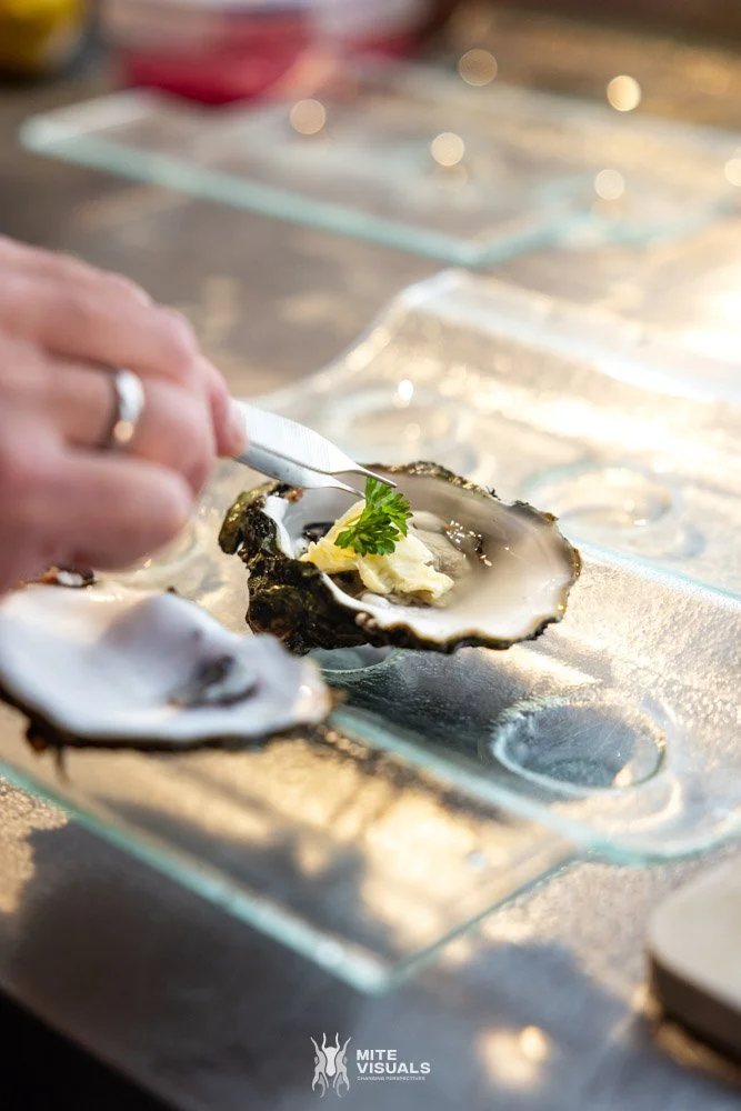 Limfjorden augustus 2024 @mitevisuals web-12.jpg