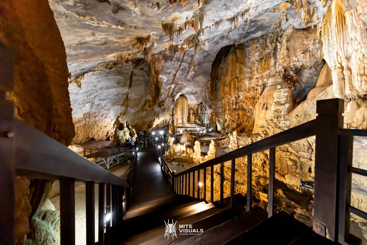 Stray Vietnam web @mitevisuals-211.jpg