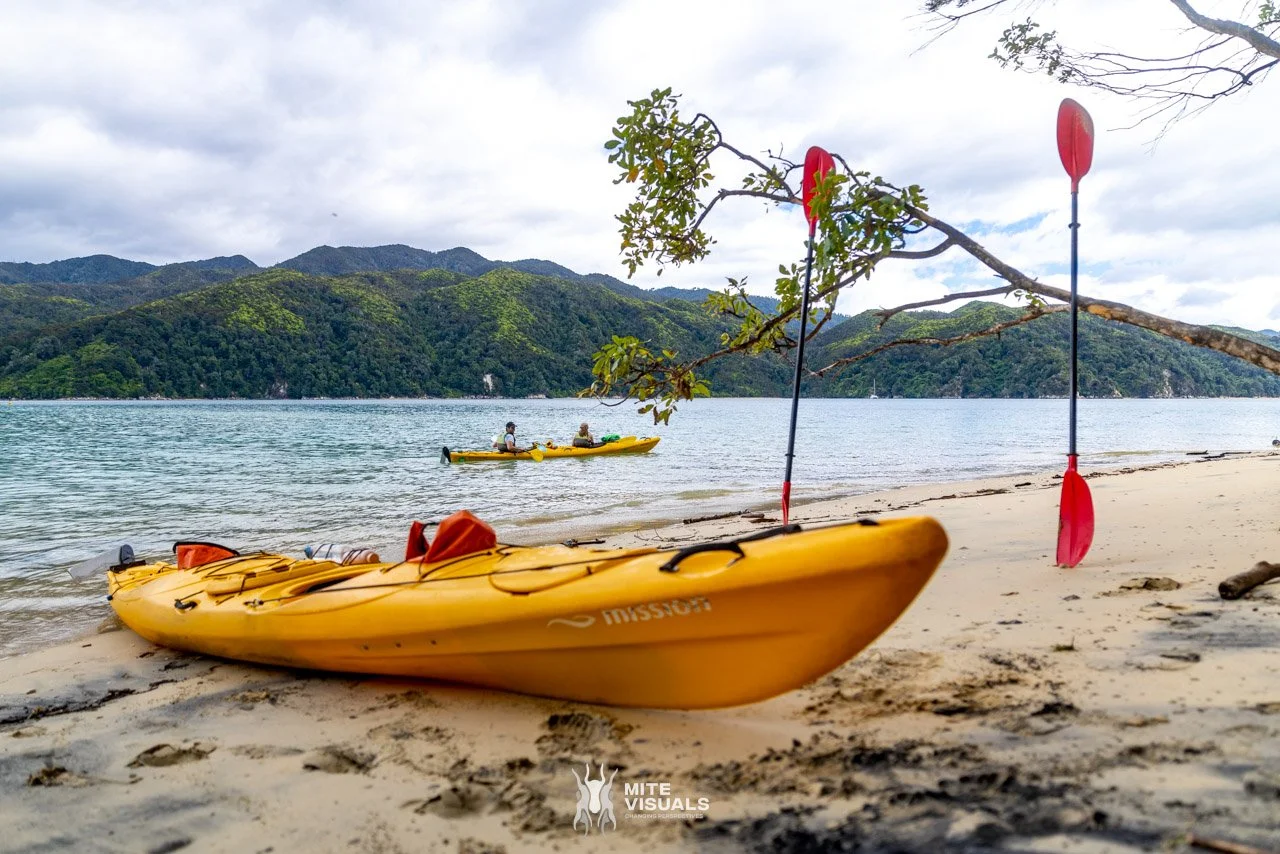 New Zealand 2026 web - Mite Visuals-395.jpg