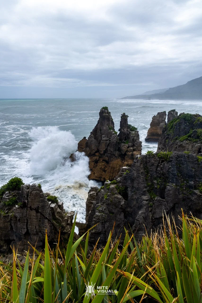 New Zealand 2026 web - Mite Visuals-482.jpg