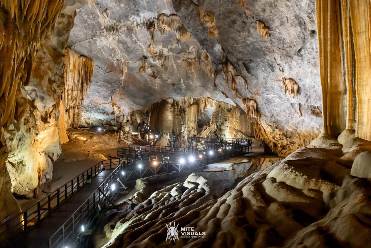 Stray Vietnam web @mitevisuals-194.jpg