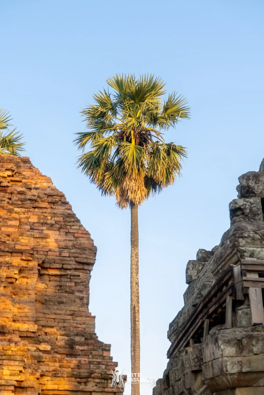 Cambodia 2026 web - Mite Visuals-2.jpg