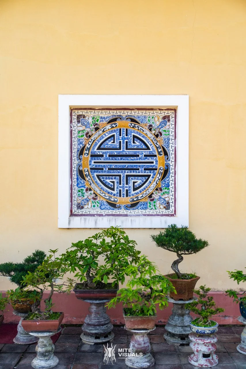 Stray Vietnam web @mitevisuals-345.jpg